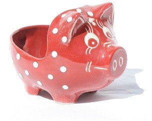 Hackepeterschwein mittel