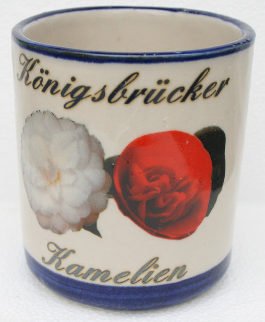 Königsbrücker Kamelientasse